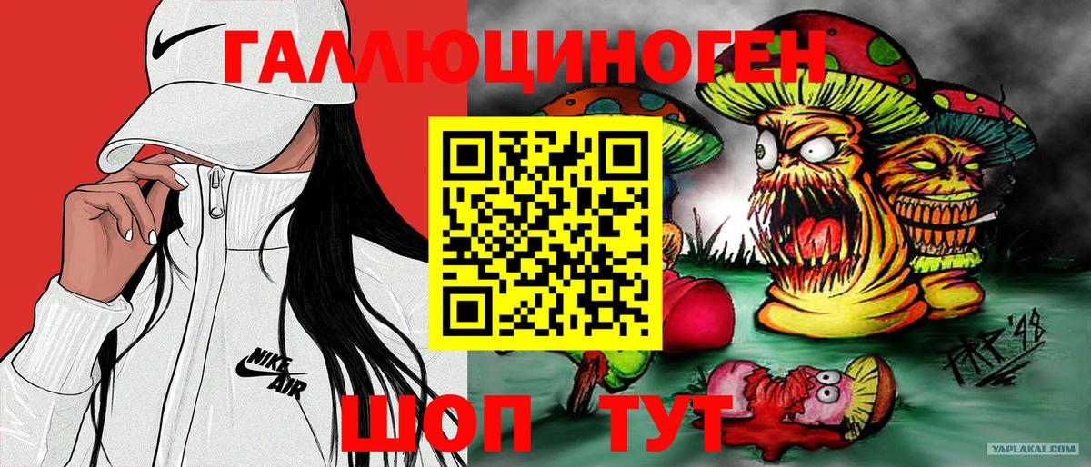 Псилоцибиновые грибы Cubensis Тосно