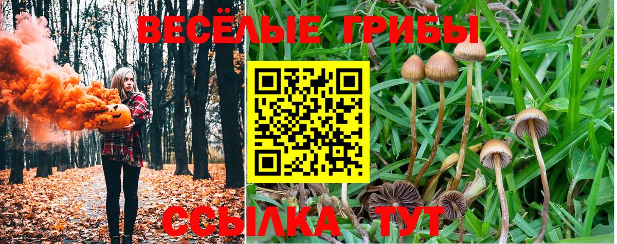 Тосно  Псилоцибиновые грибы прущие грибы  Вход с VPN 